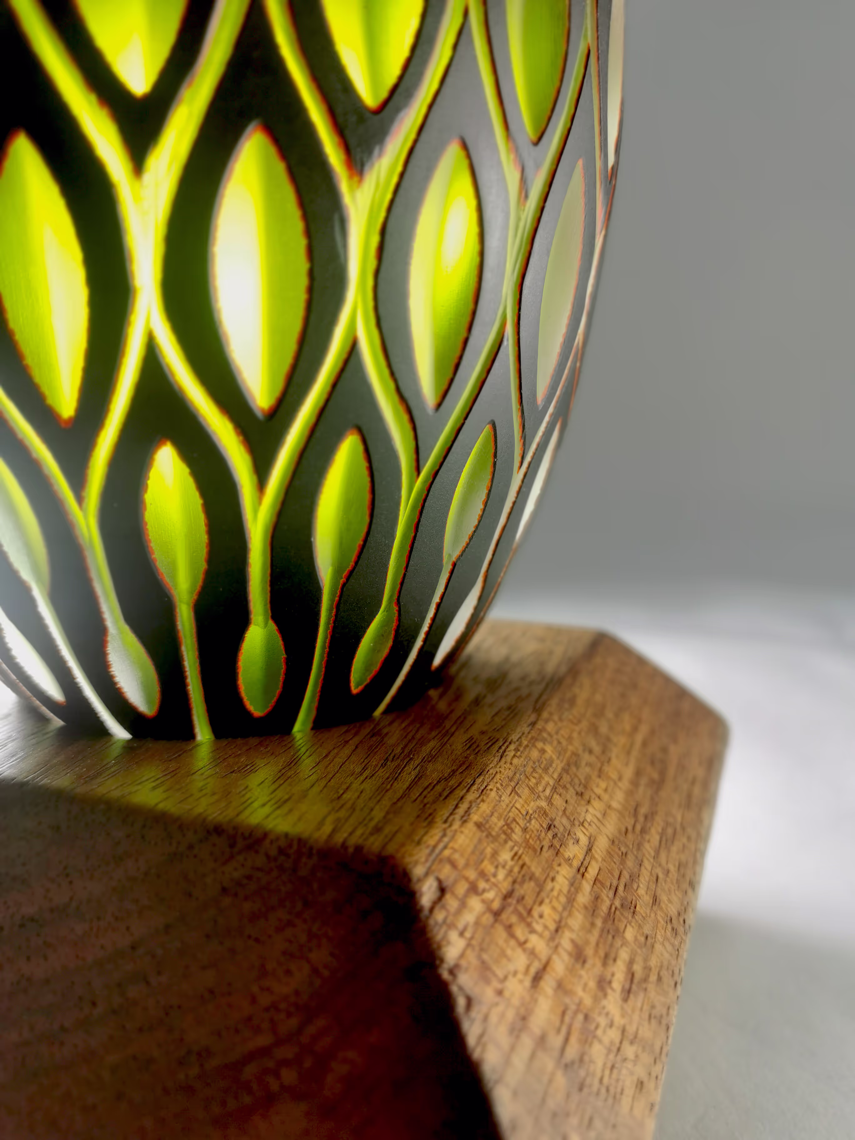 Image from Focus album